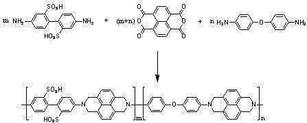 Preparation method of sulfonated polyimide/titanium dioxide composite proton conductive membrane