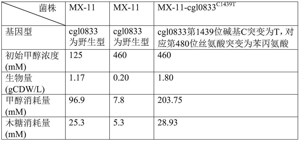 Method for improving tolerance and use ratio of microorganisms for methyl alcohol