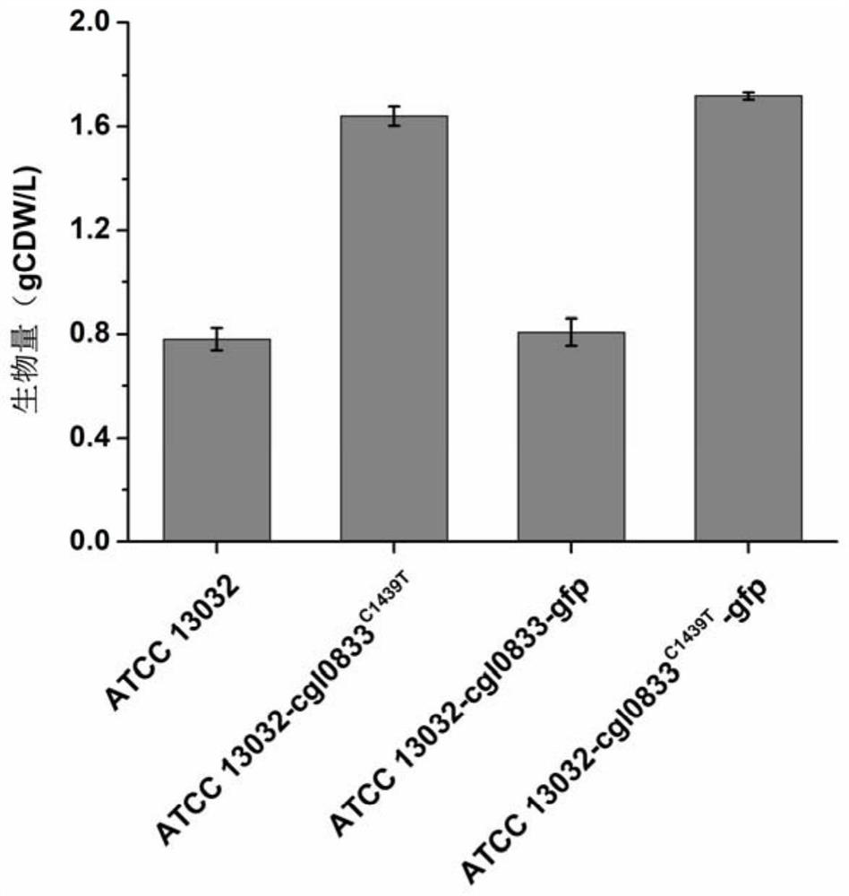 Method for improving tolerance and use ratio of microorganisms for methyl alcohol