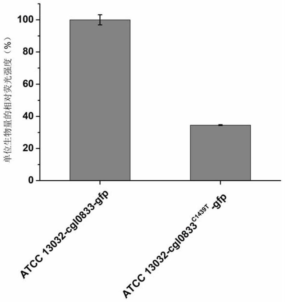 Method for improving tolerance and use ratio of microorganisms for methyl alcohol