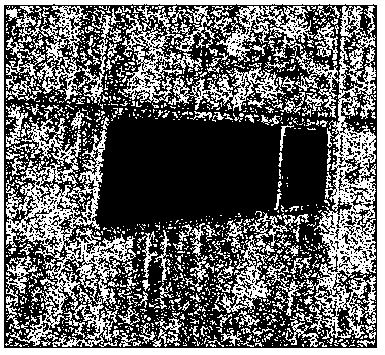 SAR (specific absorption rate) image registration method based on straight lines and area