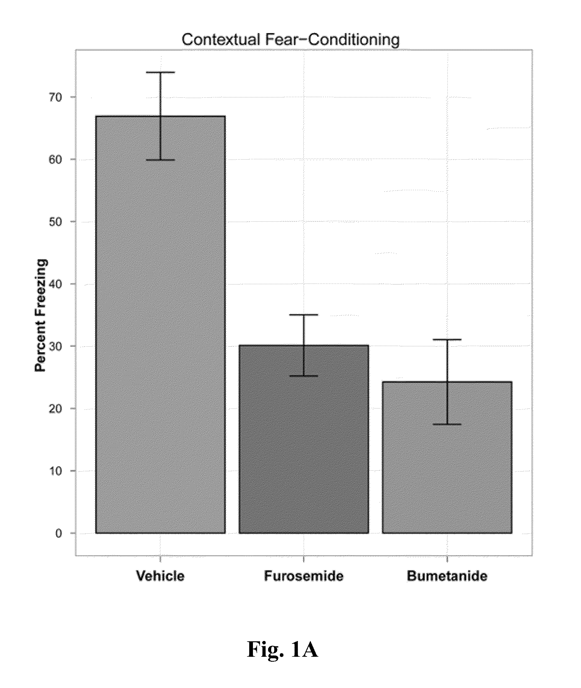 Analogs and prodrugs of bumetanide; compositions and methods of use