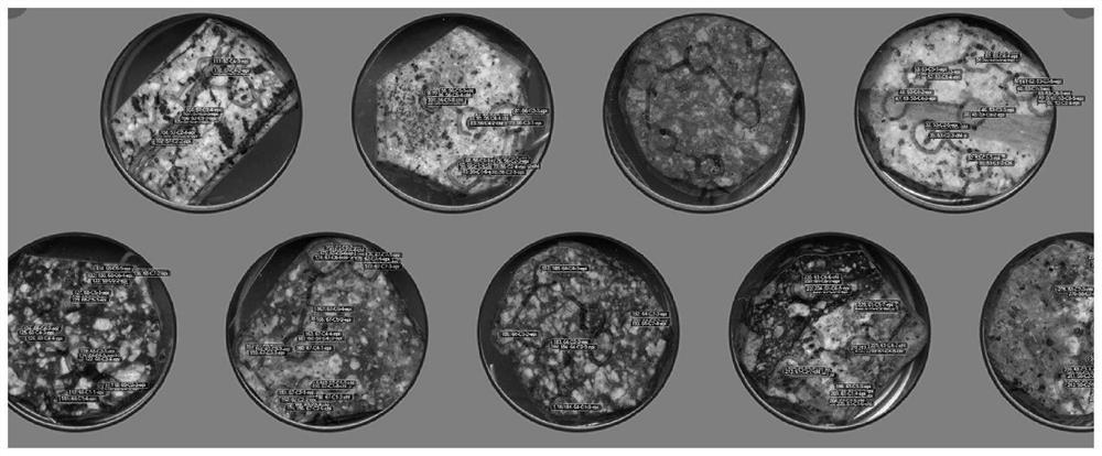 Ore prospecting method based on epidote microelements