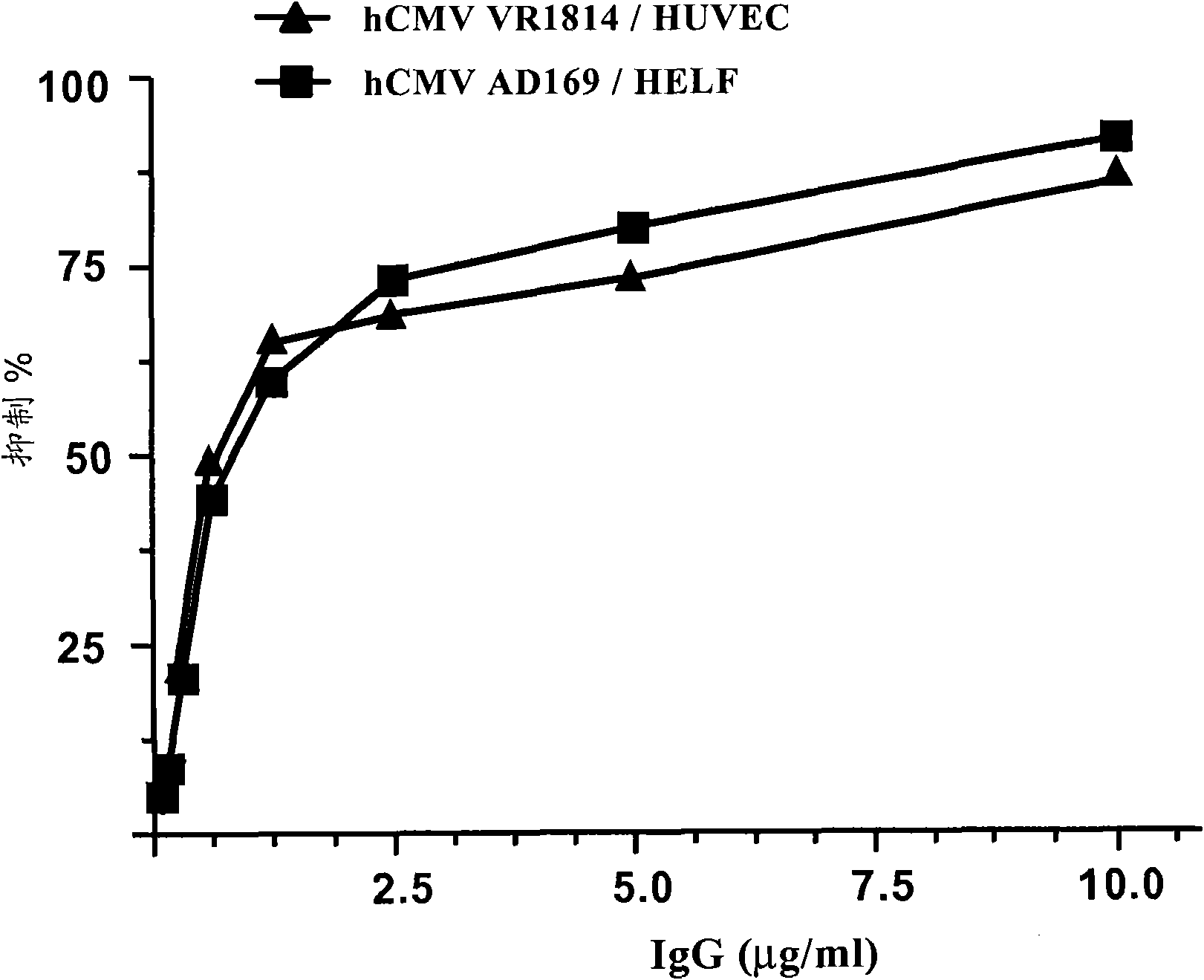 Antibodies against human cytomegalovirus (hcmv)