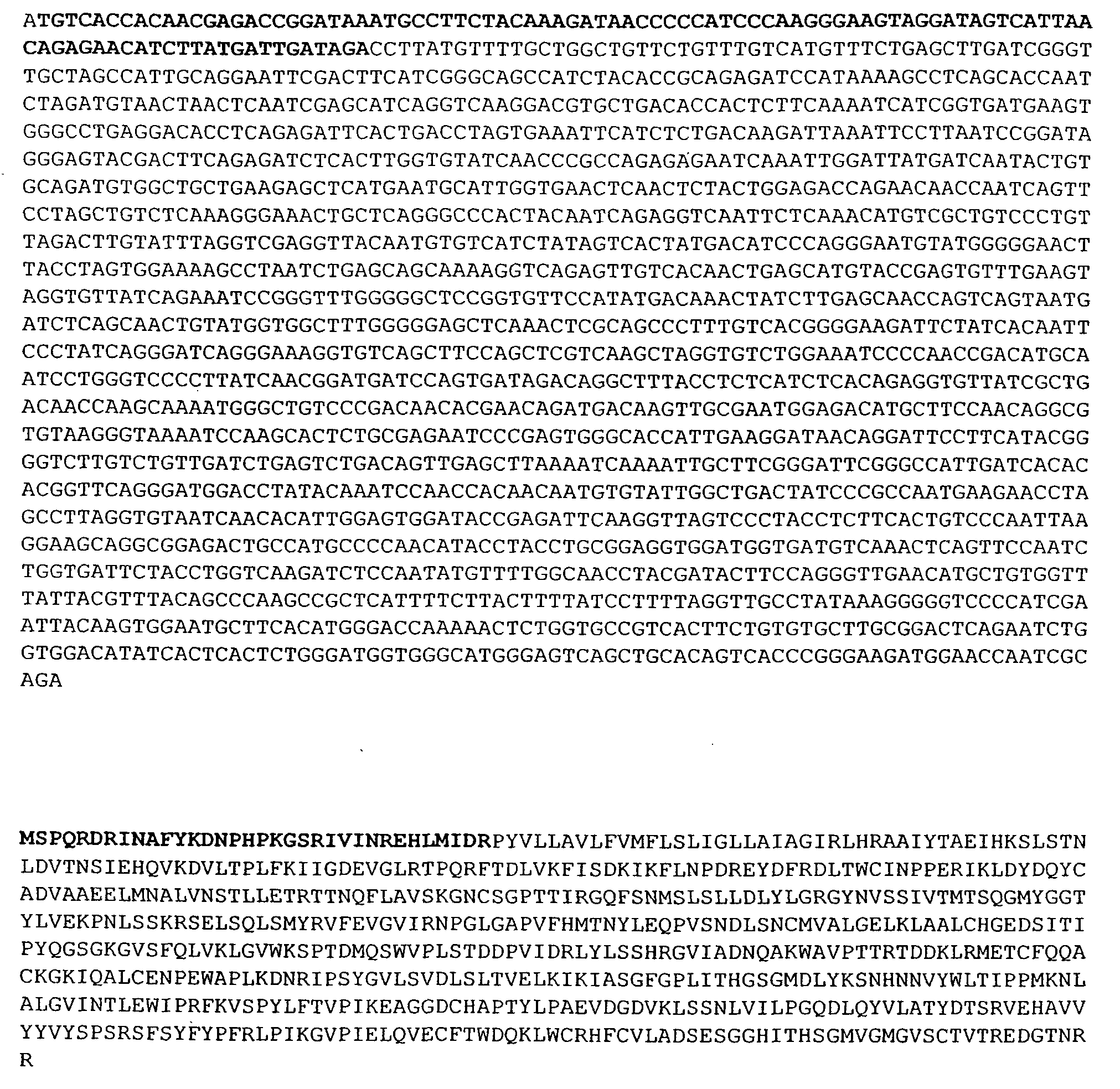 Pseudotyping of retroviral vectors, methods for production and use thereof for targeted gene transfer and high throughput screening