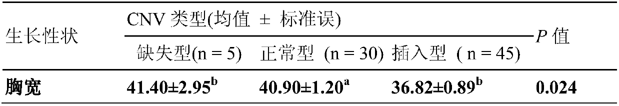 Method for detecting CNV (copy number variation) marker of KLF8 gene of beef and application thereof