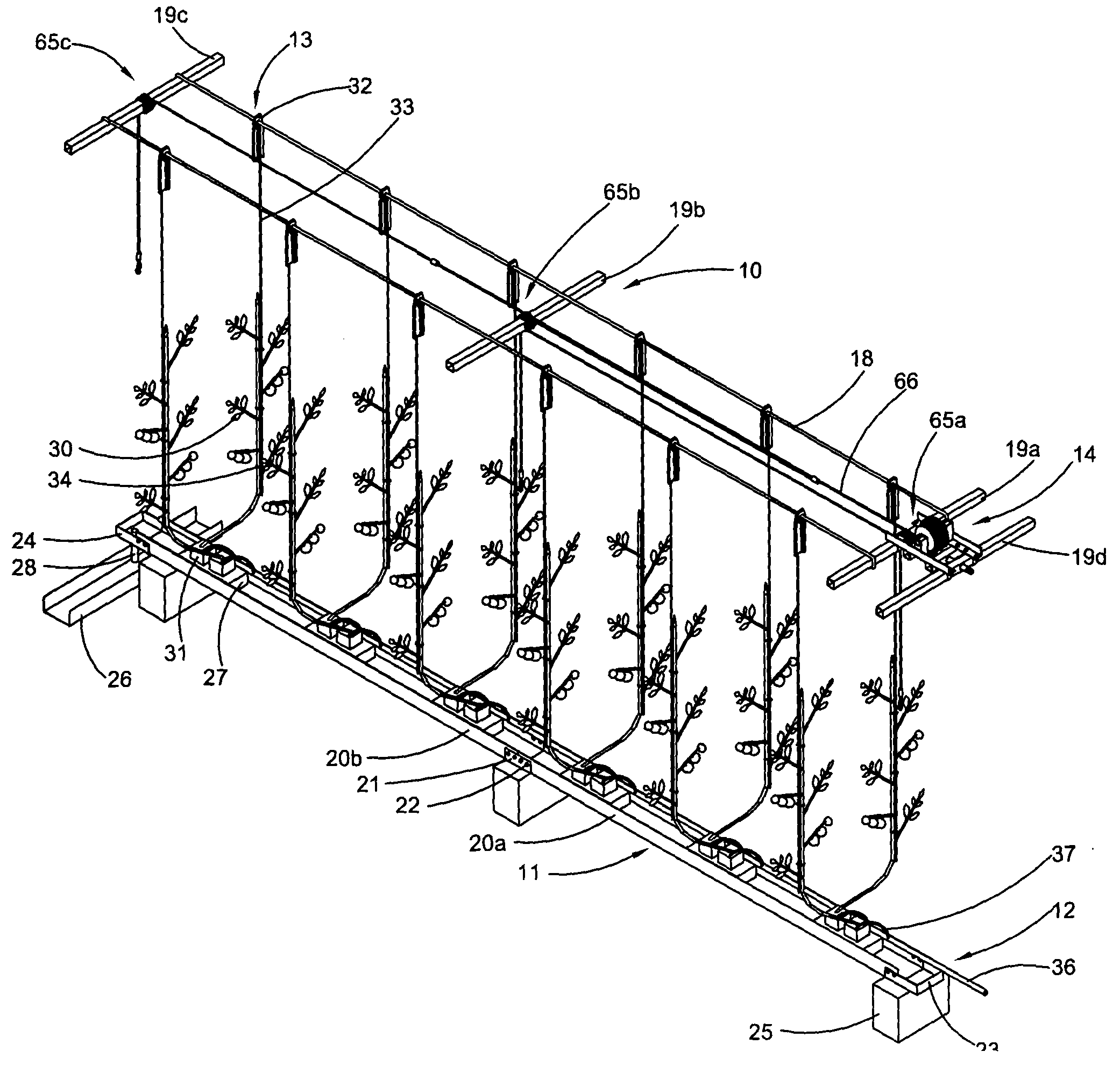 Method and apparatus for growing vine crops in a greenhouse