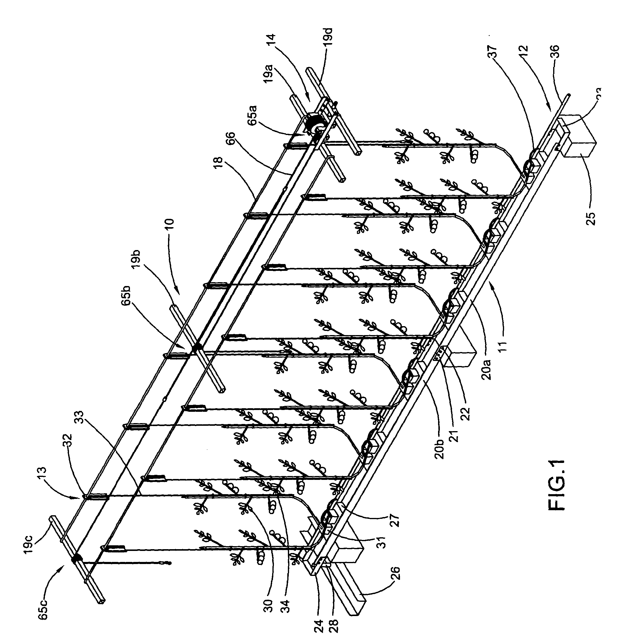 Method and apparatus for growing vine crops in a greenhouse