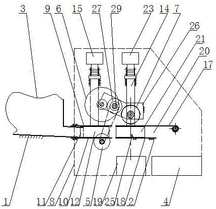 A fully automatic eel and loach processing equipment