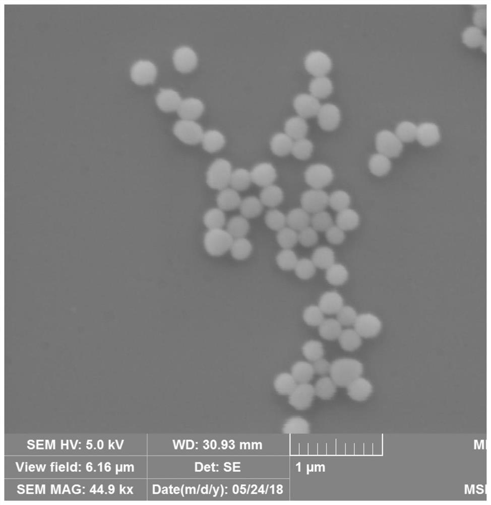 A method for density-controlled grafting of DNA on the surface of polydopamine nanoparticles