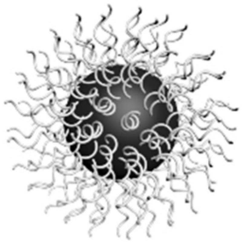 A method for density-controlled grafting of DNA on the surface of polydopamine nanoparticles