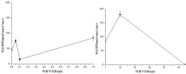 Determination method for activity of phospholipase D alpha