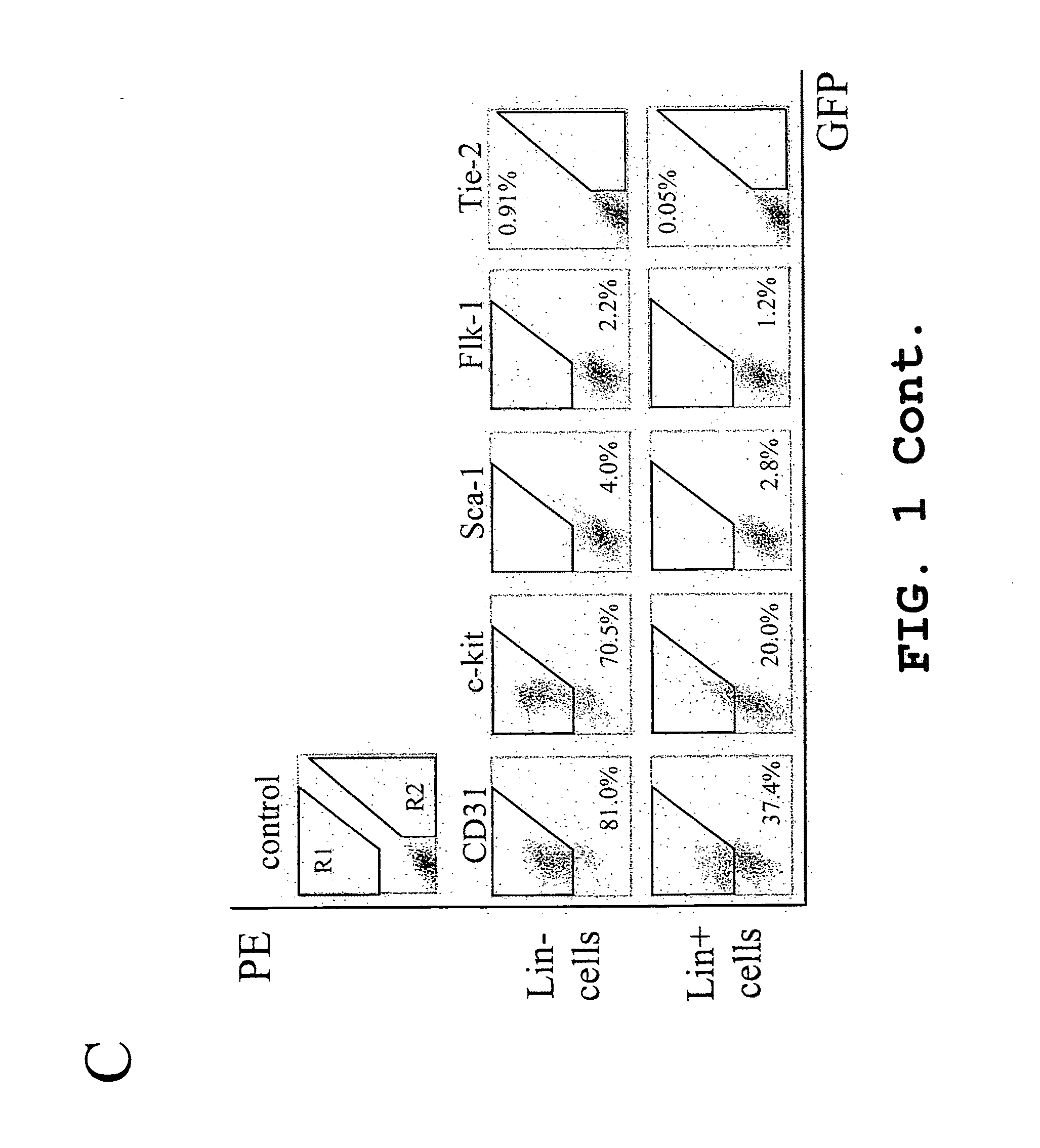 Isolated lineage negative hematopoietic stem cells and methods of treatment therewith