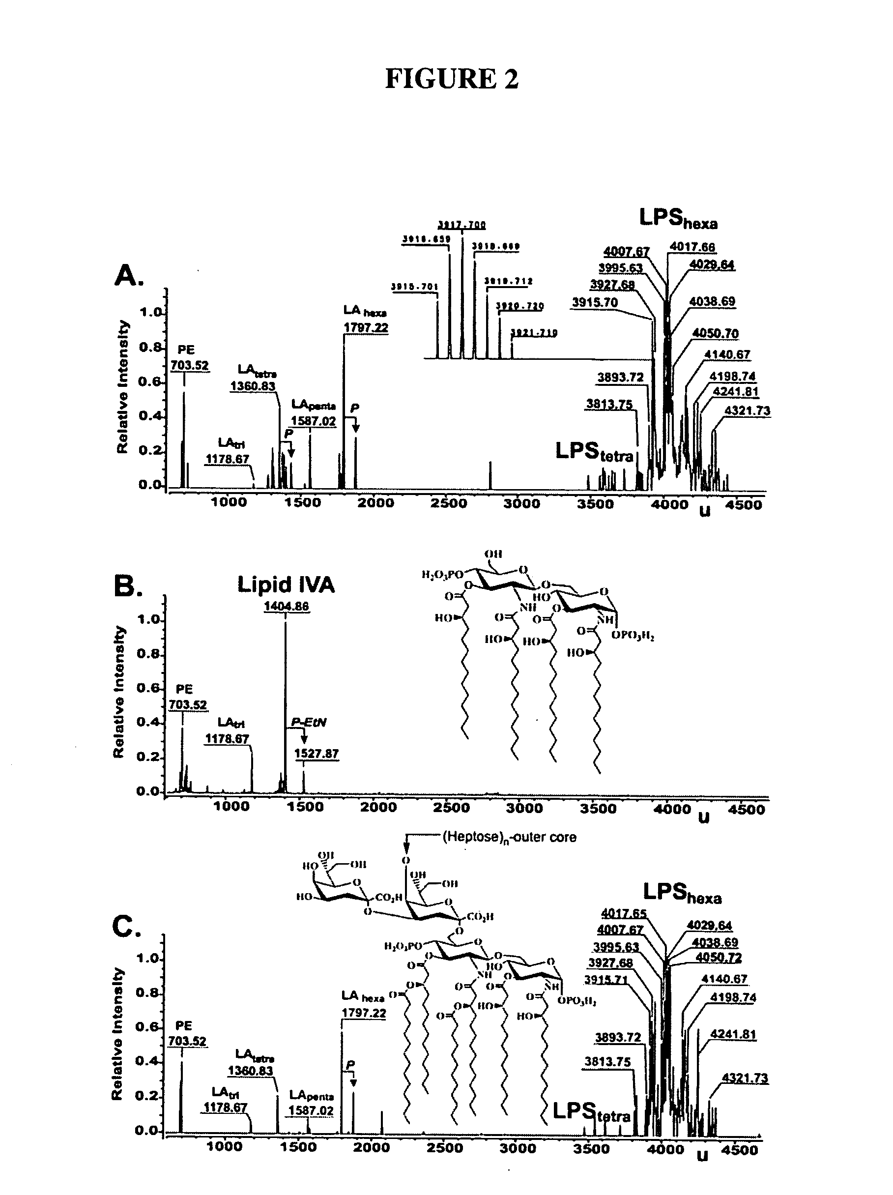 Viable non-toxic gram-negative bacteria