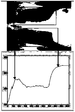 Method and device for lung segmentation in X-ray chest film