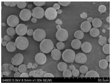 A kind of preparation method of lithium iron phosphate/lithium metaaluminate composite cathode material