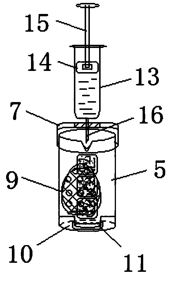 Method and system for self-help privacy sample collection and examination