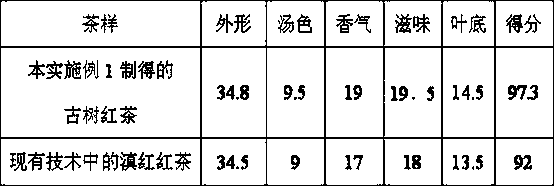 A kind of preparation method of ancient tea tree black tea