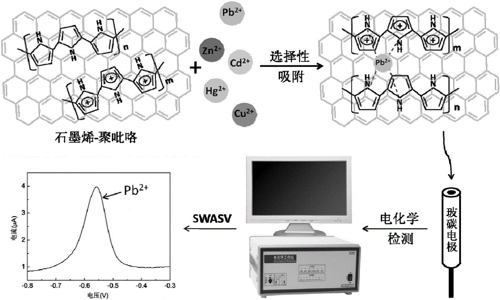 Preparation method and application of graphene/polypyrrole electrochemical sensor for trace-amount lead ion detection