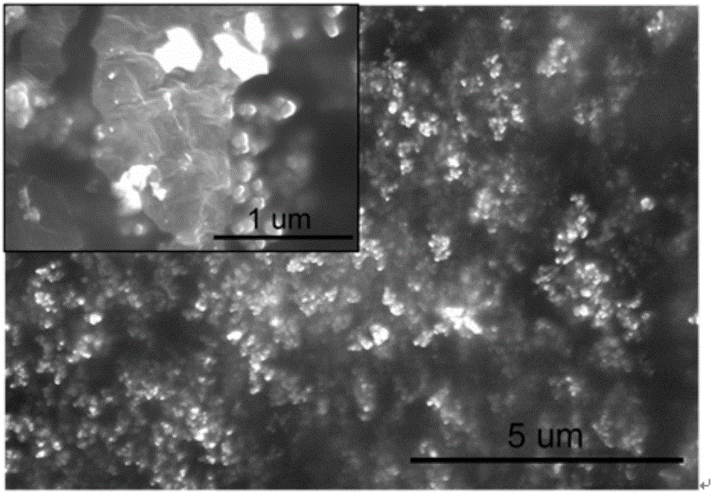 Preparation method and application of graphene/polypyrrole electrochemical sensor for trace-amount lead ion detection