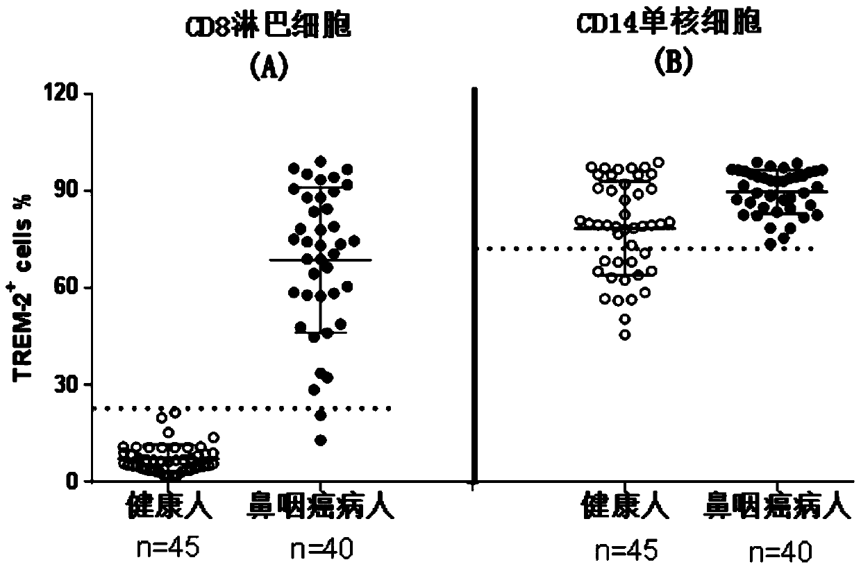 Nasopharyngeal carcinoma marker and application thereof