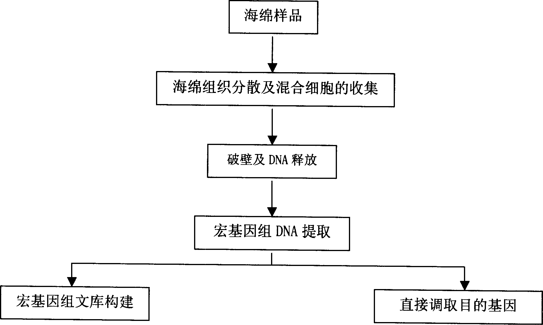 Quick extracting method for large fragment sponge macro genome DNA