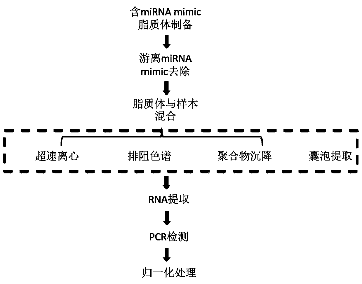 Artificial liposome containing miRNA mimic and preparation method and application thereof