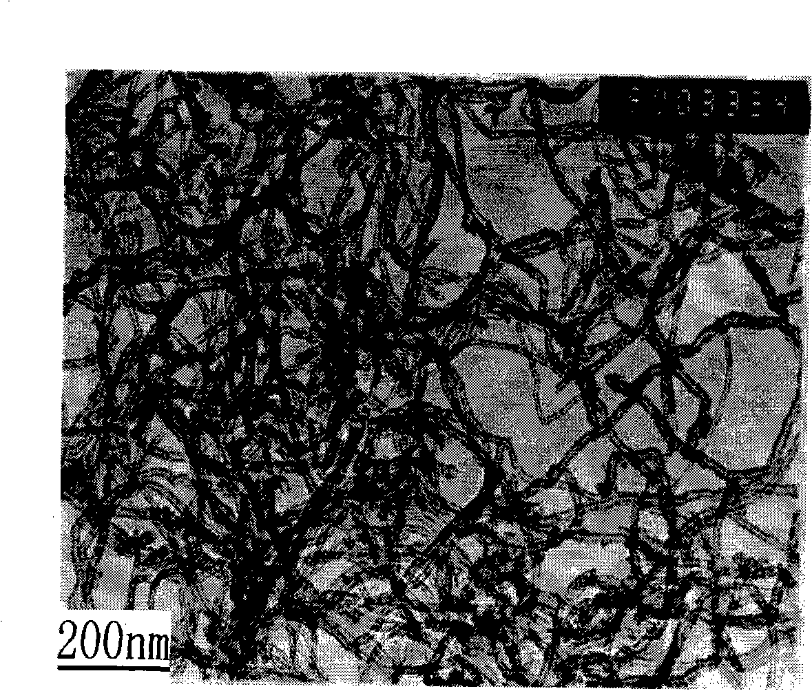 Preparation of carbonaceous inorganic material-polymer composite material