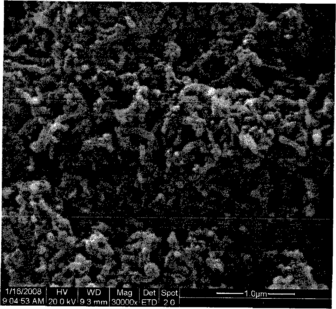 Preparation of carbonaceous inorganic material-polymer composite material