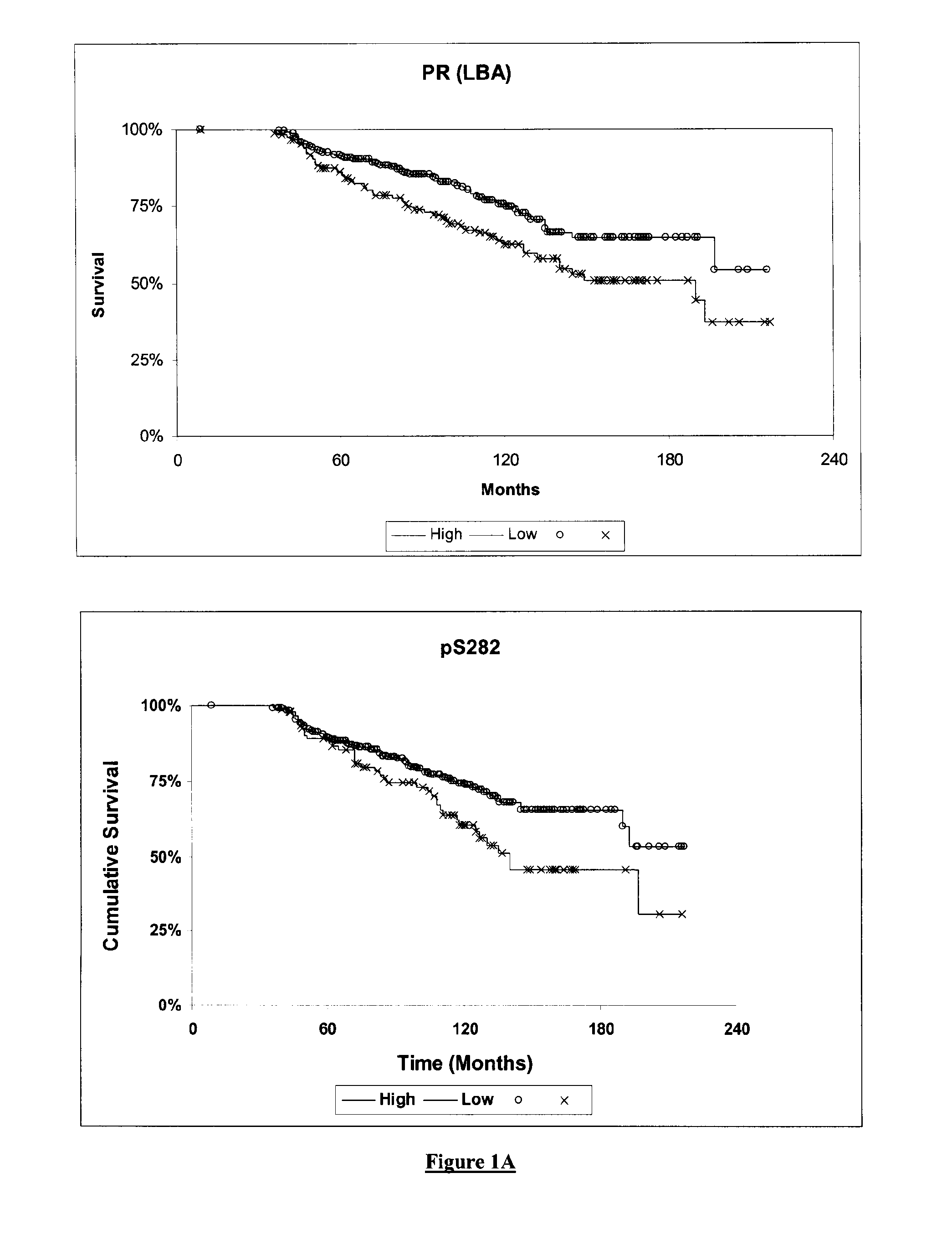 Phoshorylation of Estrogen Receptor Alpha