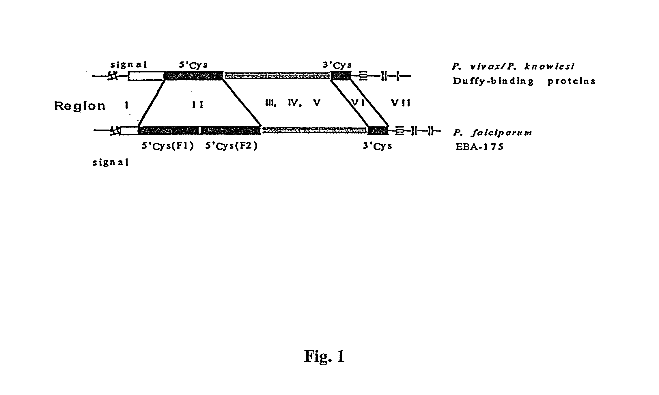 Anti-plasmodium compositions and methods of use