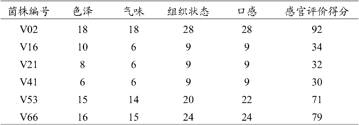 Lactobacillus plantarum strain, soymilk produced based on fermentation of lactobacillus plantarum strain and production method of soymilk