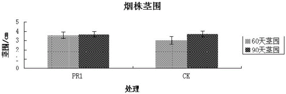 Bacillus stratosphericus strain and application thereof