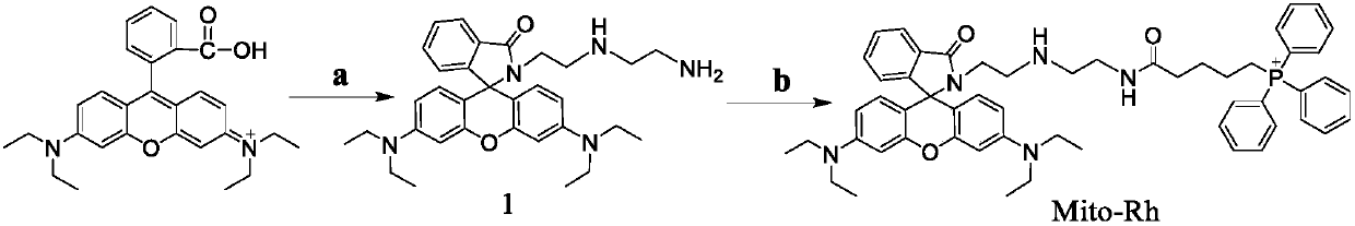 Preparation and Application of ATP Fluorescent Probe for Positioning Mitochondria