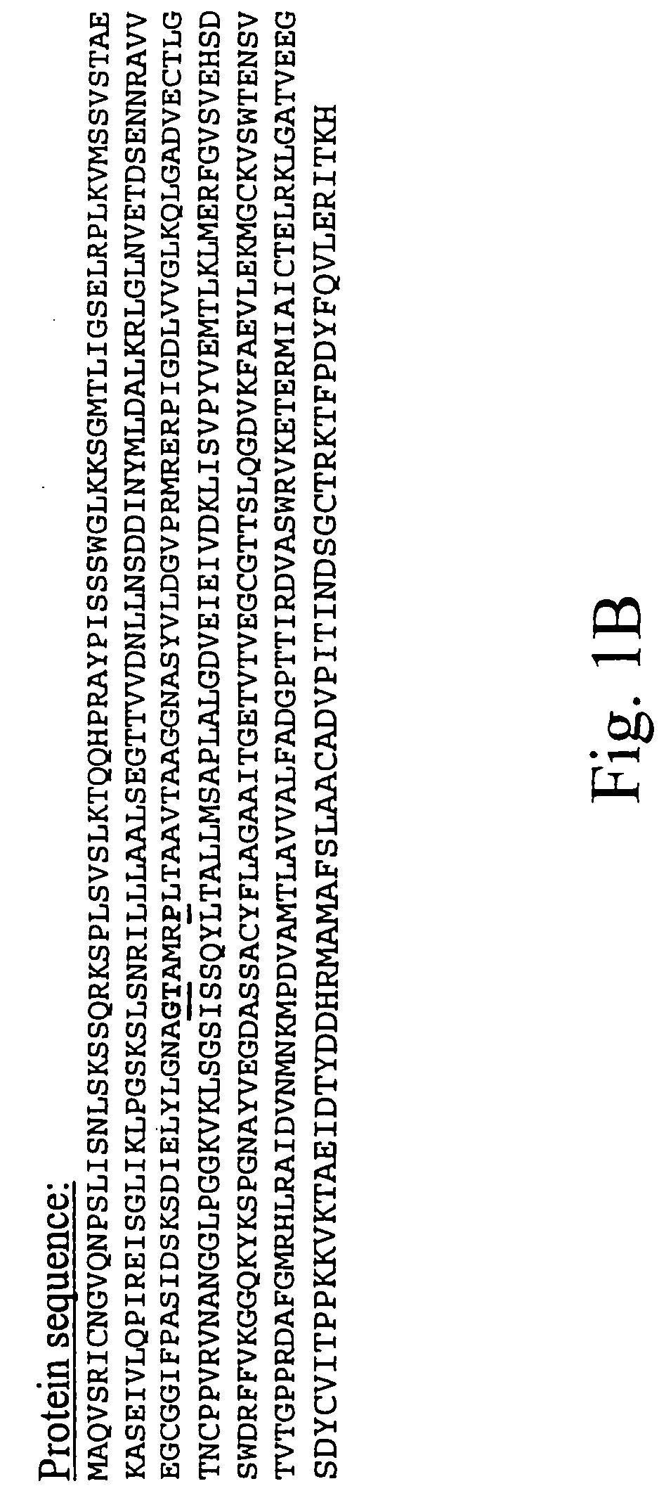 Non-transgenic herbicide resistant plants