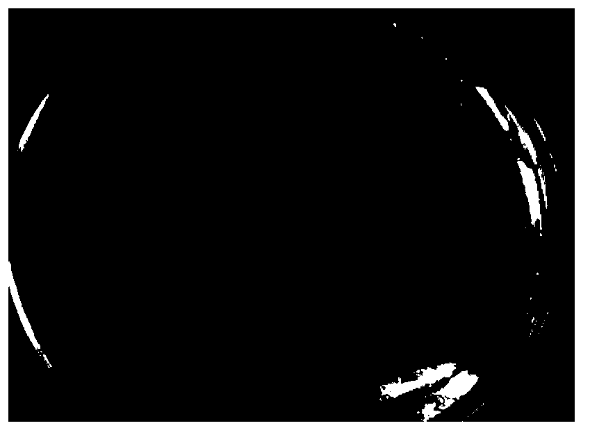 Pseudomonas fluorescent and application thereof in biosynthesizing methionine