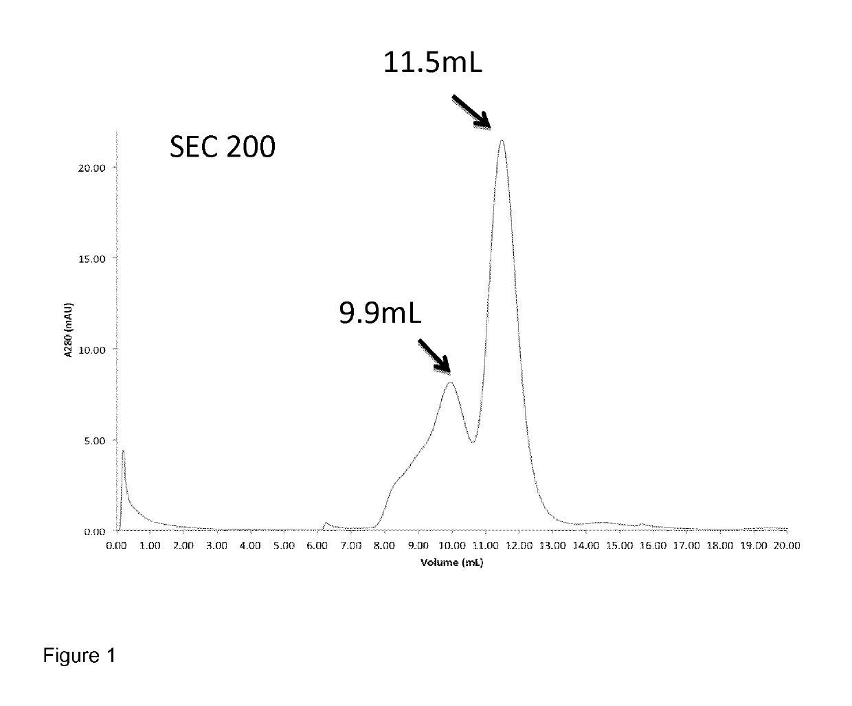 IL2 and TNF immunoconjugates