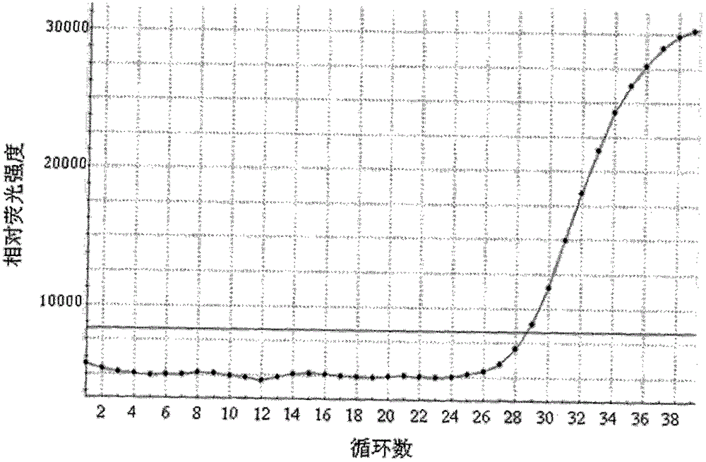 Primer, probe and kit for detection of C-KIT gene mutation