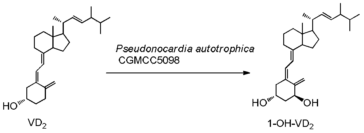 Method for preparing 1alpha-hydroxy vitamin D through microbial conversion