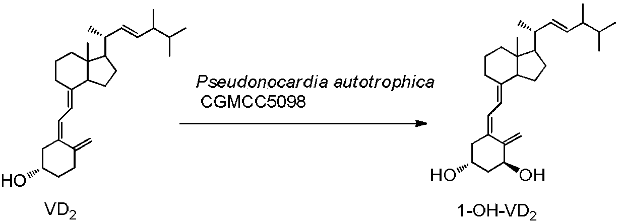 Method for preparing 1alpha-hydroxy vitamin D through microbial conversion