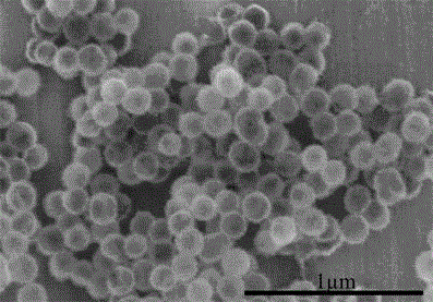 Sea-urchin-shaped nanometer nickel silicate hollow sphere and preparation method thereof