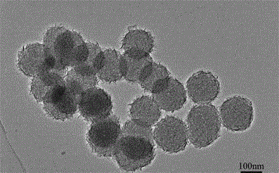 Sea-urchin-shaped nanometer nickel silicate hollow sphere and preparation method thereof