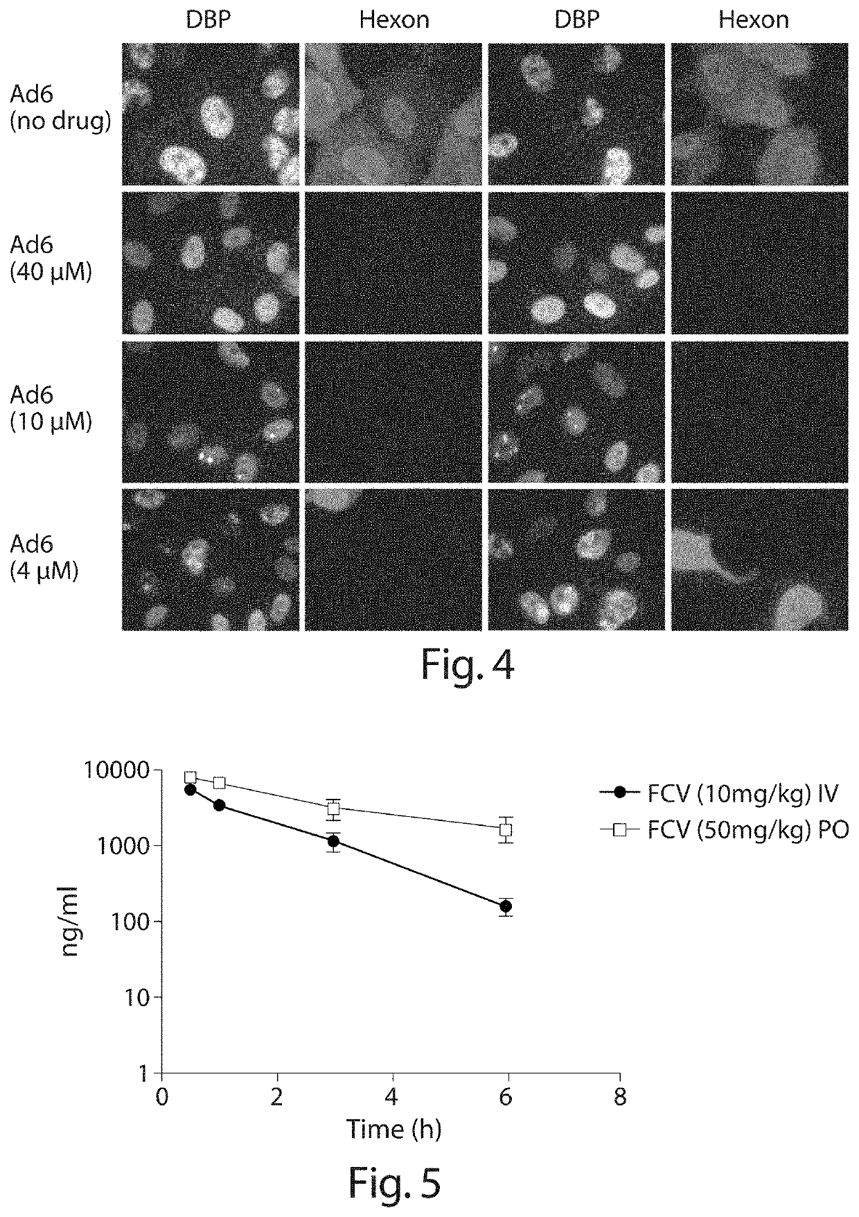 Inhibition of adenovirus with filociclovir