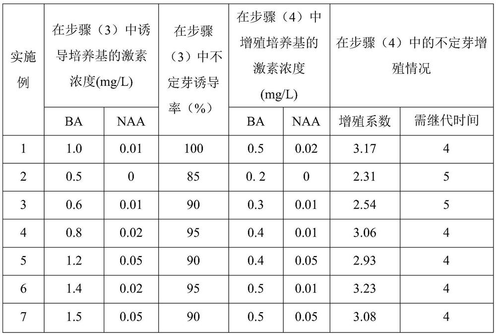 Method of Tissue Culture and Rapid Propagation of Weeping Flowers