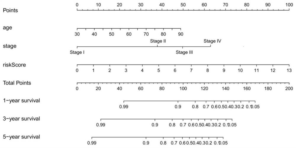 Marker for predicting prognosis of colon cancer and application of marker