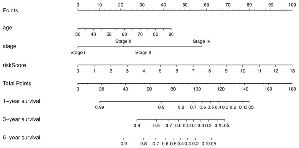 Marker for predicting prognosis of colon cancer and application of marker