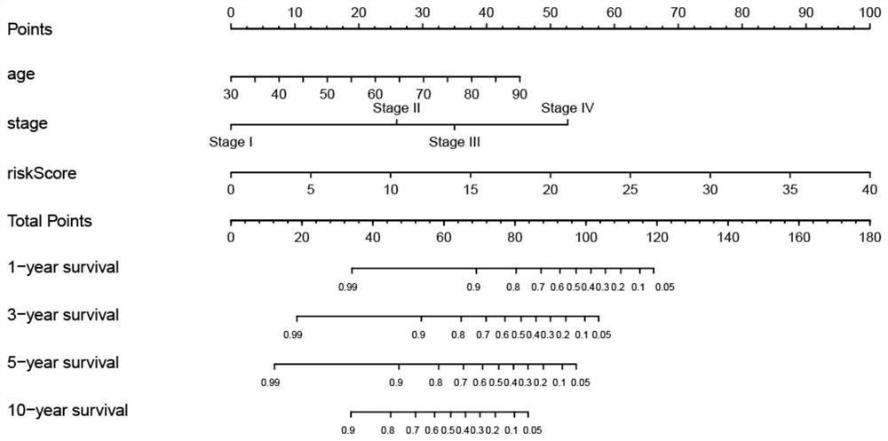 Marker for predicting prognosis of colon cancer and application of marker