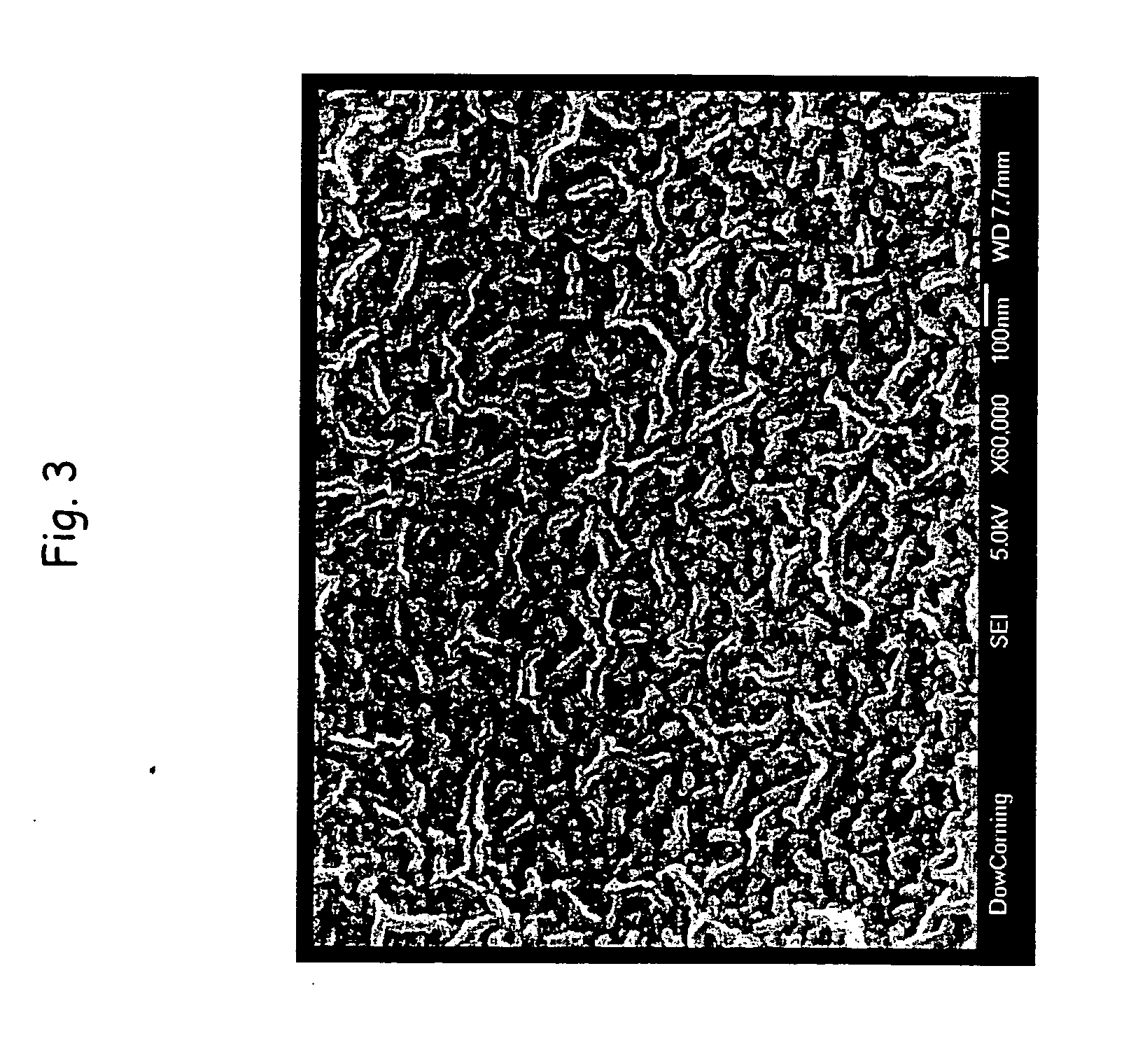 Use of repeat sequence protein polymers in personal care compositions