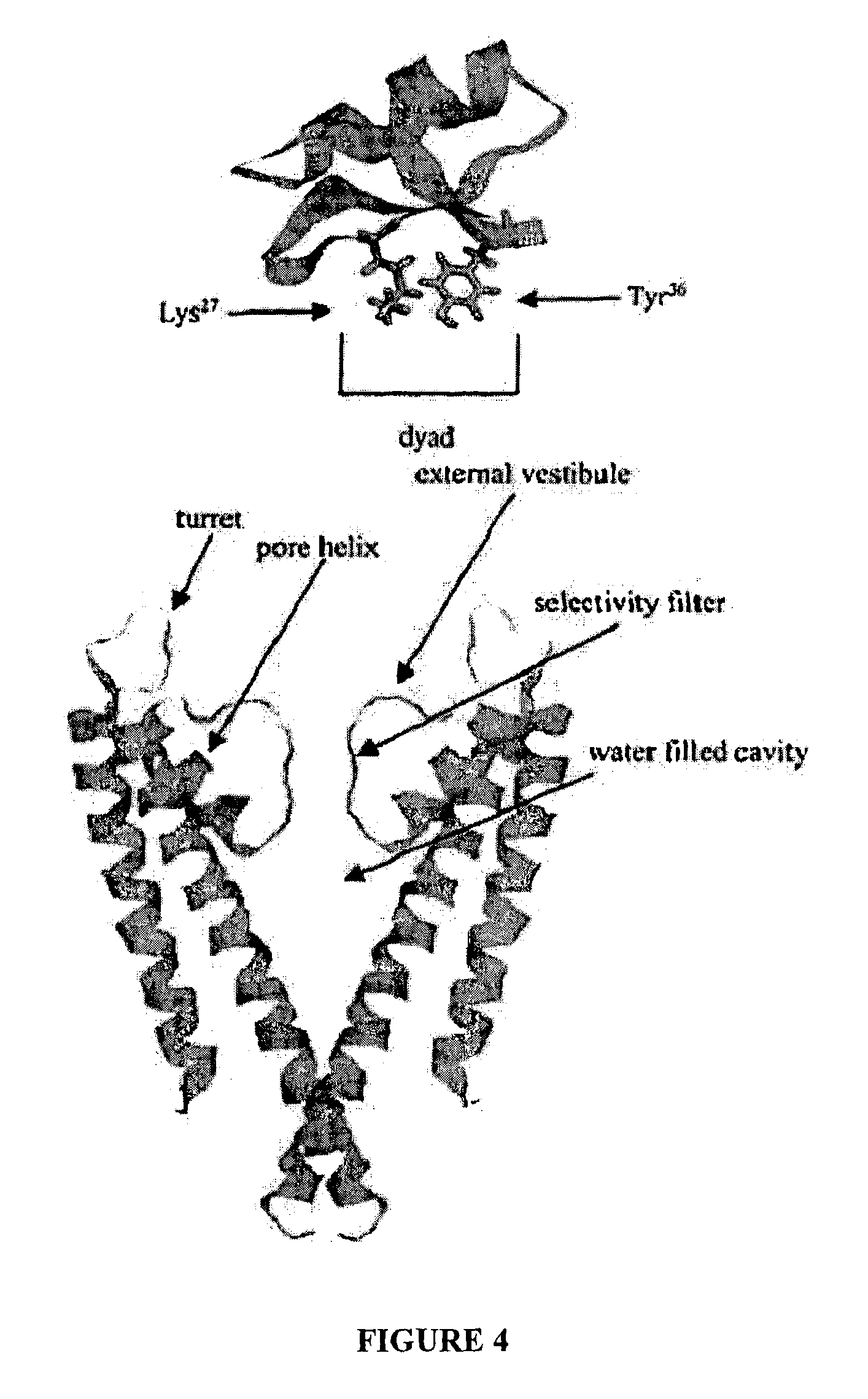 Modified peptide toxins