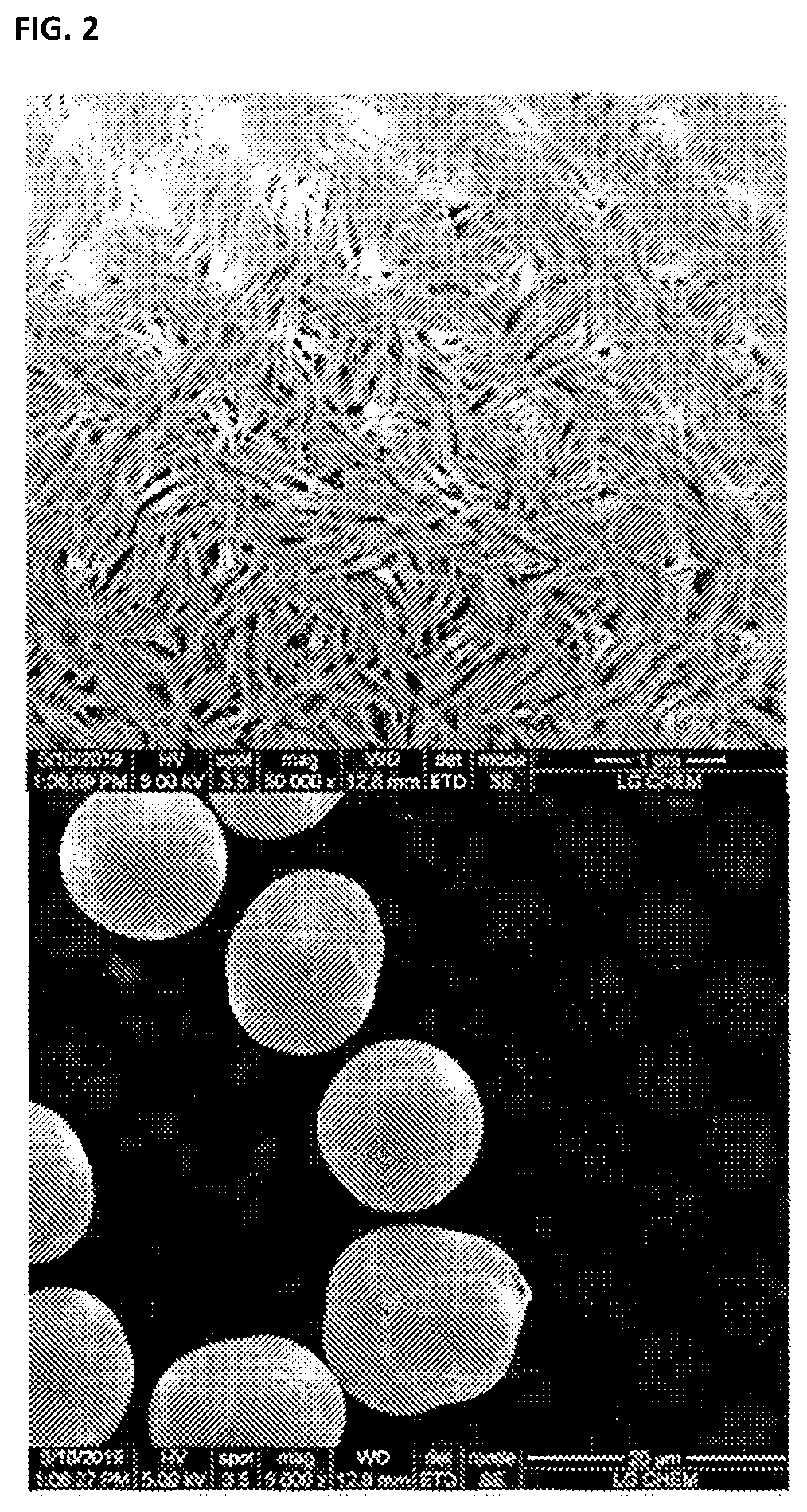 Positive Electrode Active Material Precursor for Secondary Battery, Preparation Method Thereof, and Method of Preparing Positive Electrode Active Material